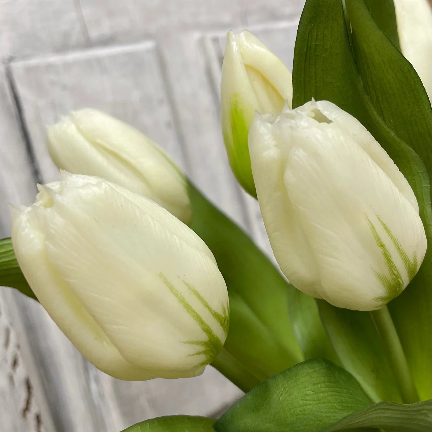 White tulips with green stems against a neutral background