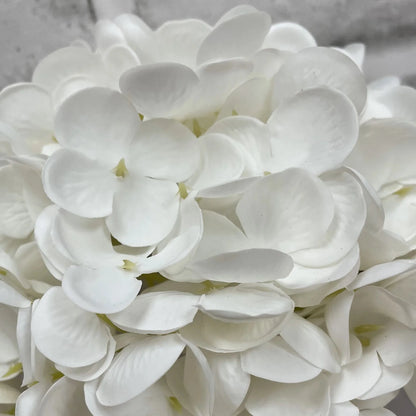 Close-up of white flowers with a blurred background
