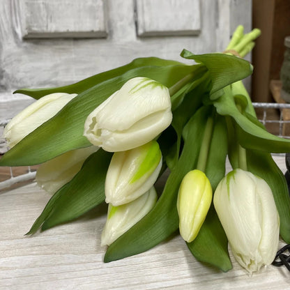 Bouquet of white tulips with green leaves on a textured surface.