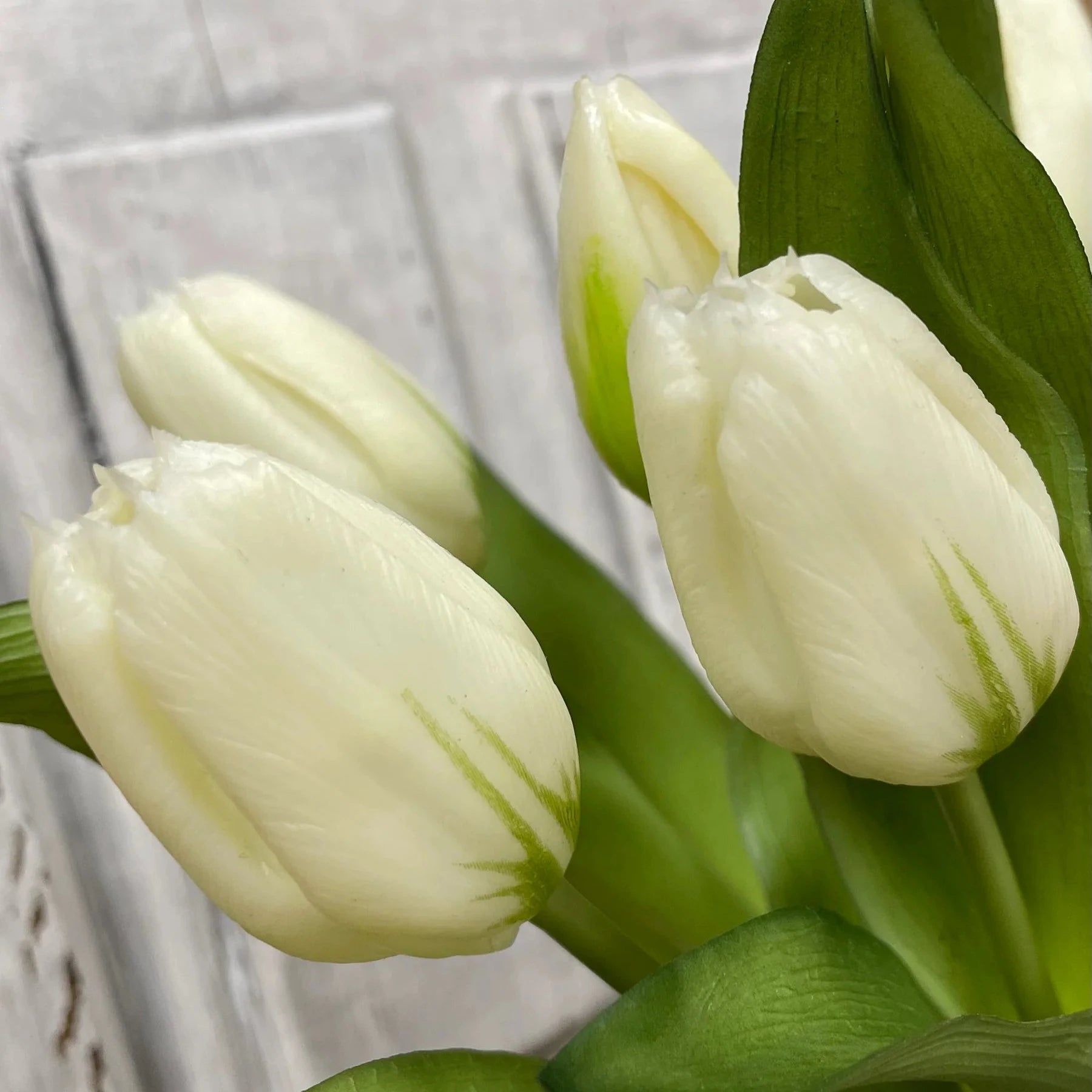 White tulips with green stems against a neutral background