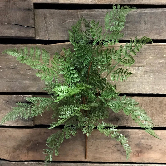 Artificial fern plant on a wooden surface