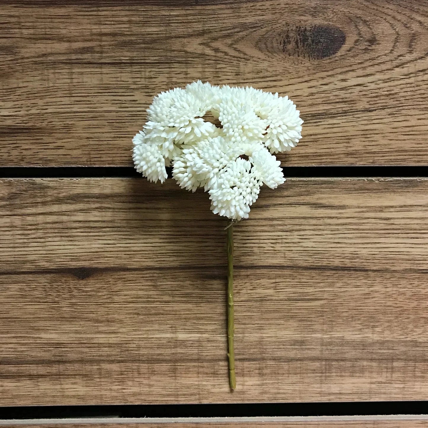 White flower on a wooden surface