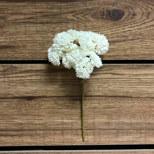 White flower on a wooden surface