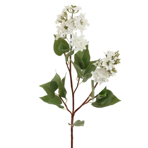 White Lilac Spray